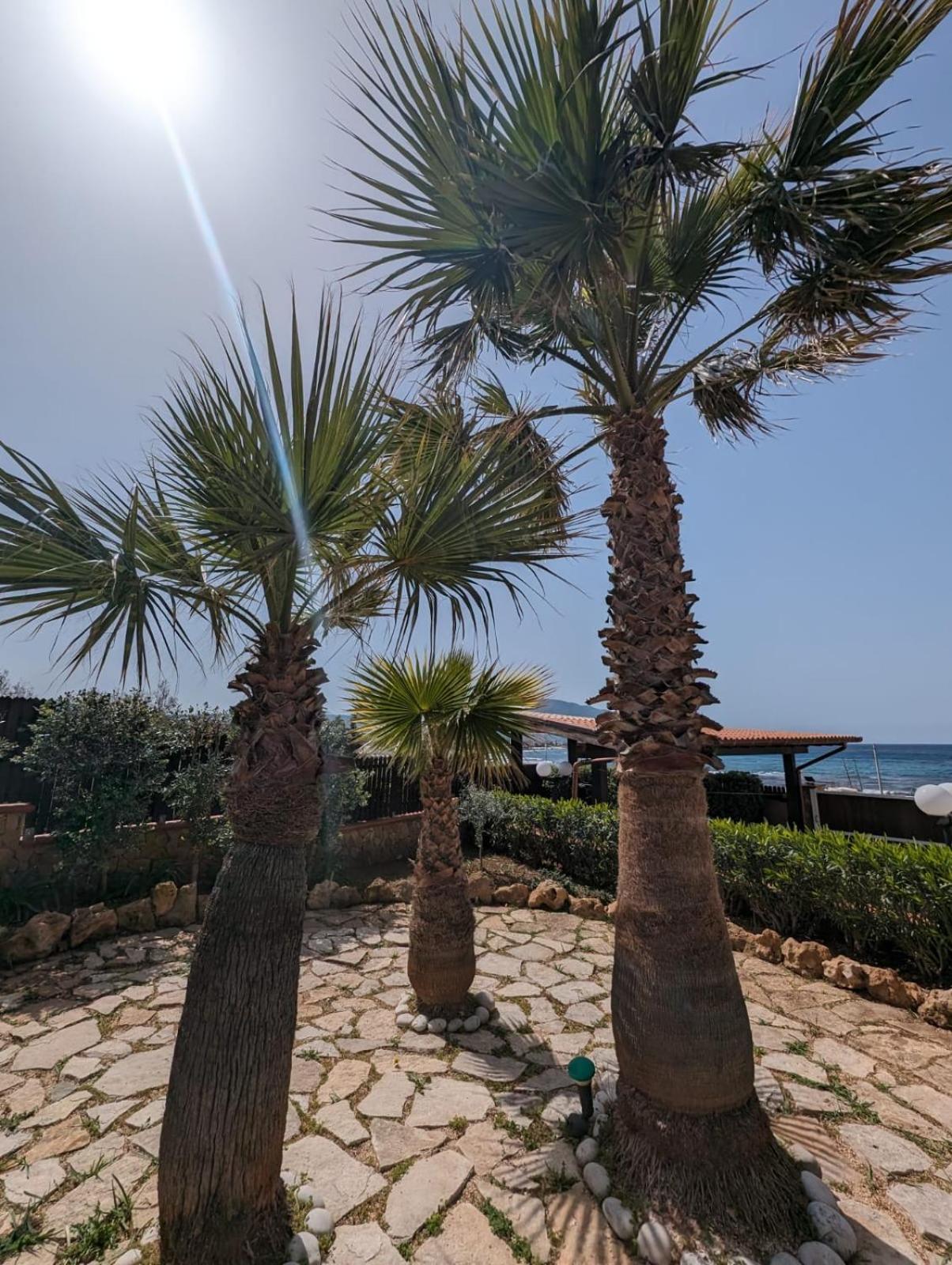 Villa Baia Di Cornino Custonaci Exterior photo